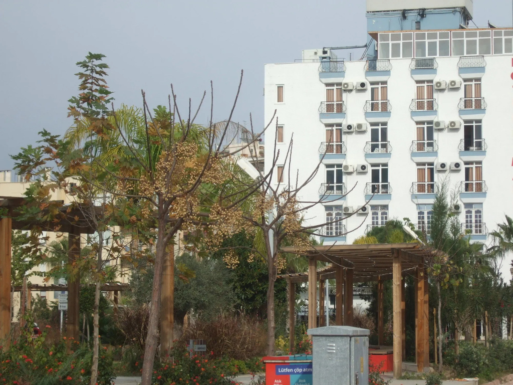 Suntalia Hotel