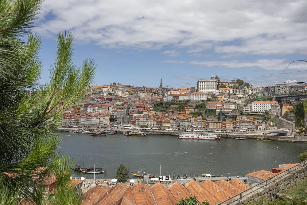 Liiiving in Gaia - Douro Dream View