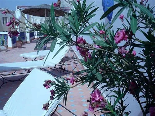 Riad Safi - maison historique