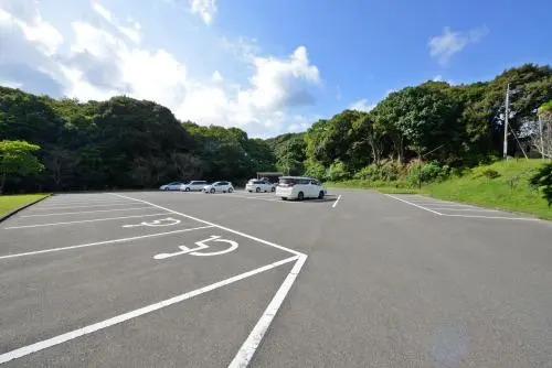 Fukushima Onsen Honokanoyado Tsubakisou