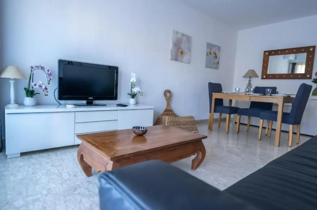 Holidays in cannes - appartement 2P - wifi - clim - parking