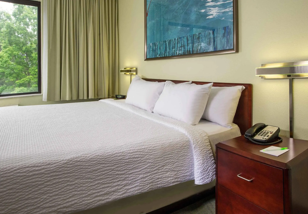 SpringHill Suites Raleigh-Durham Airport/Research Triangle Park