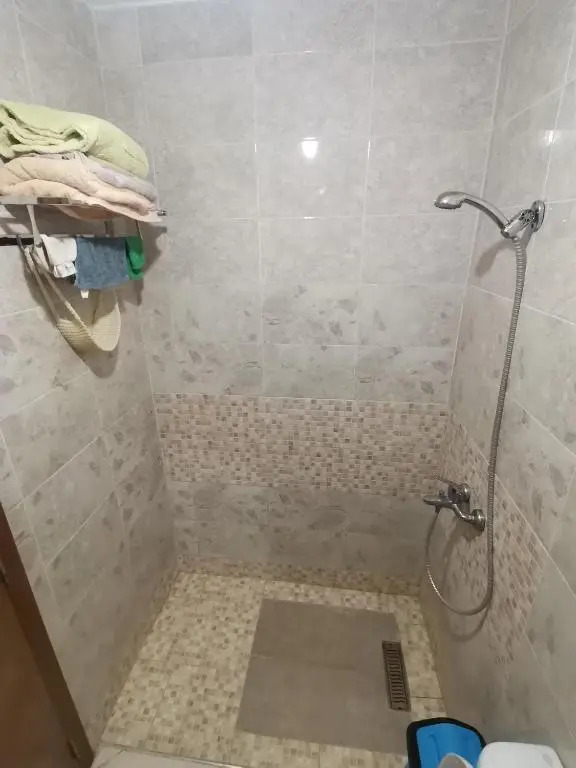 Zizi appartement