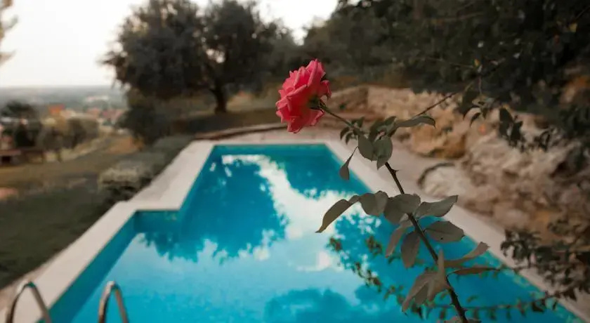 Cà Delle Vigne