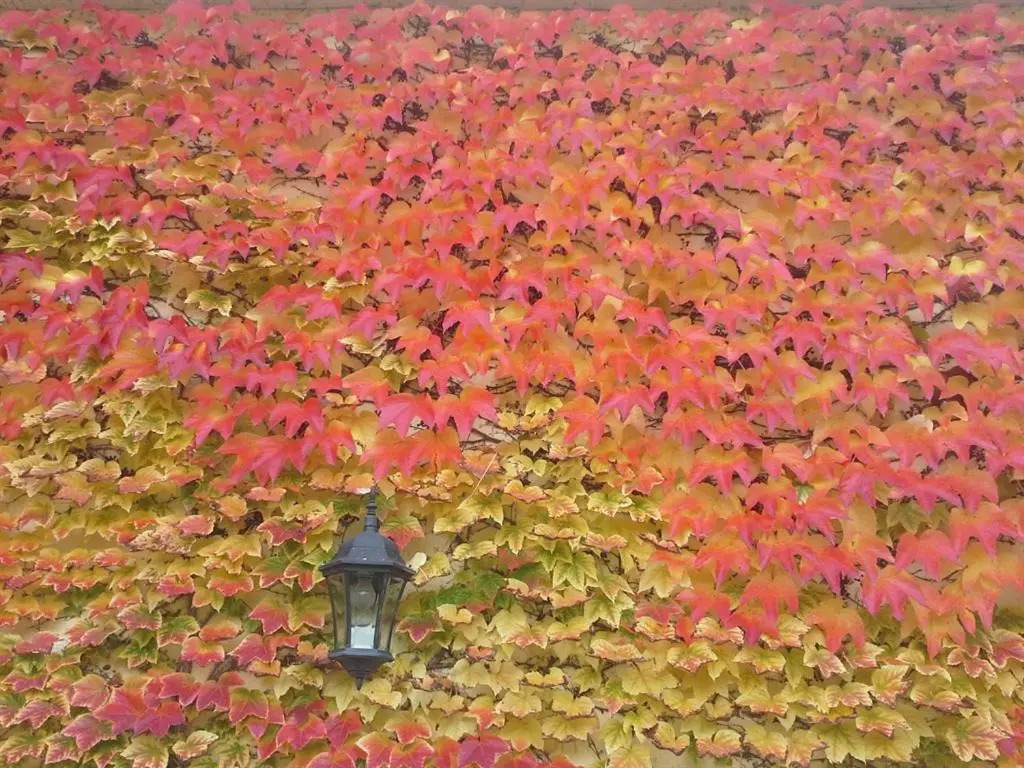 Au Pré du Moulin