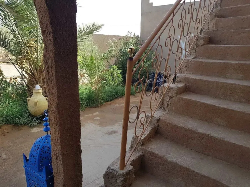 Riad Desert Camel