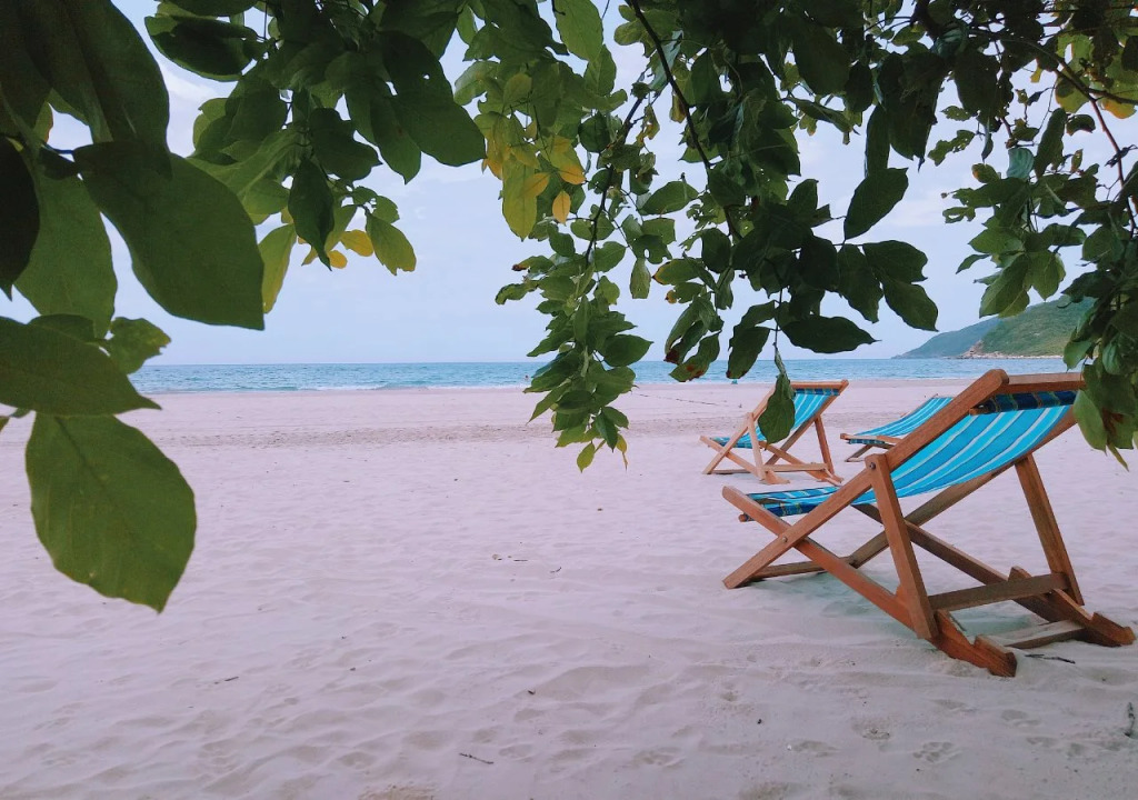 Wild Beach Boutique Resort