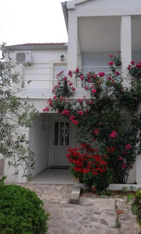 Apartment Ruza