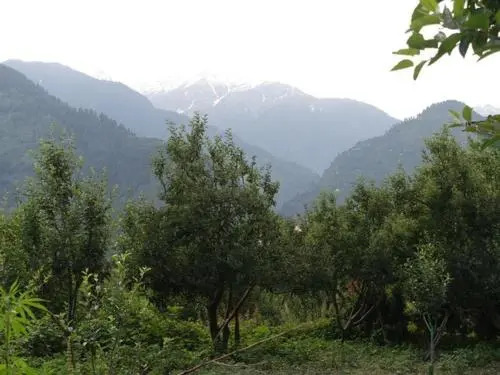 Malis Apple Lodge homestay