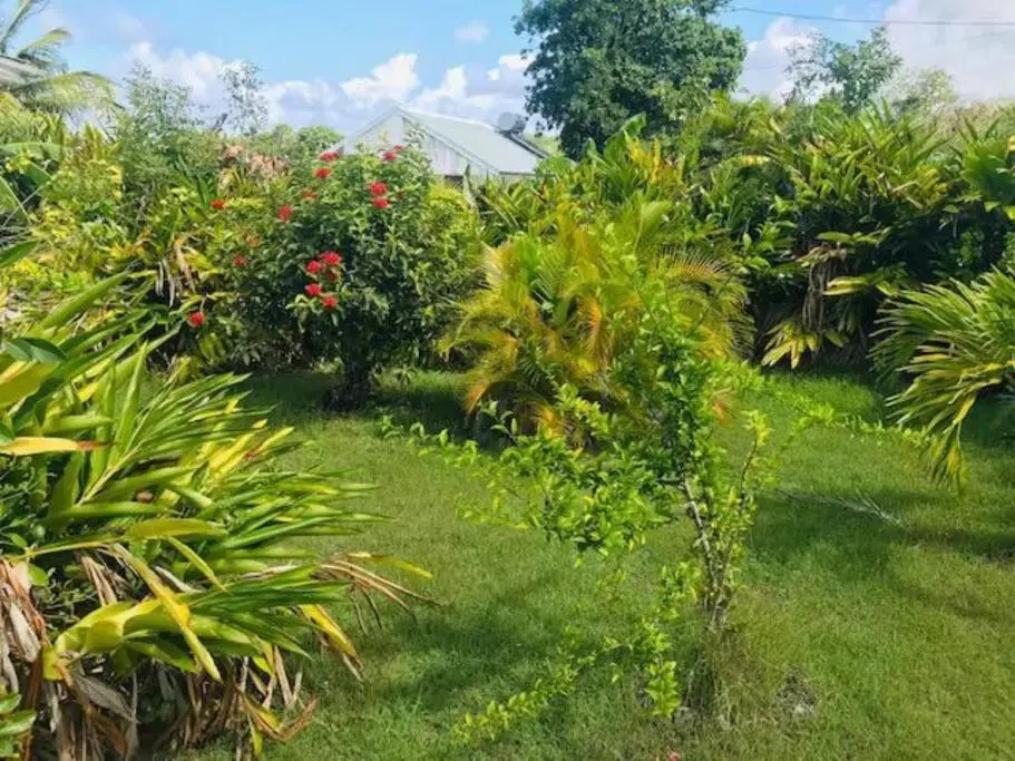 Villa Sous le Manguier-Anse Bertrand 5min plage