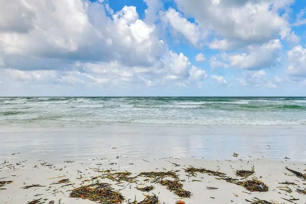 Tropical Sarasota Condo < 1 Mile to Beach!