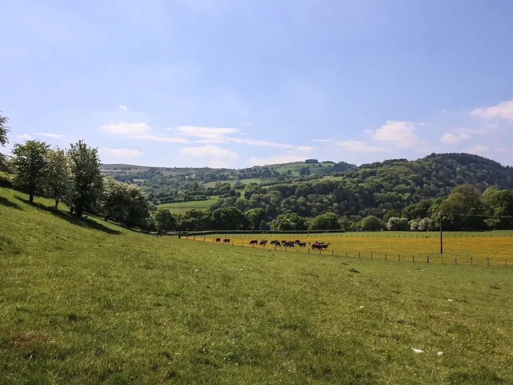 Pen Y Maes