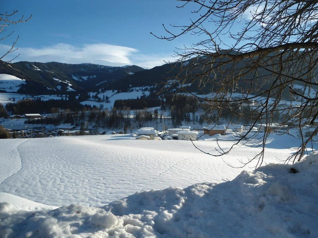 Ferienwohnung Brandtner Leogang