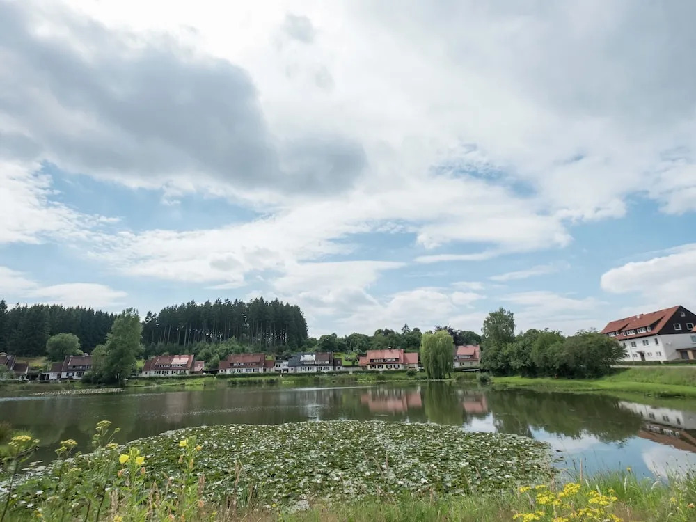 Apartment in Bad Grund Near Harz Park