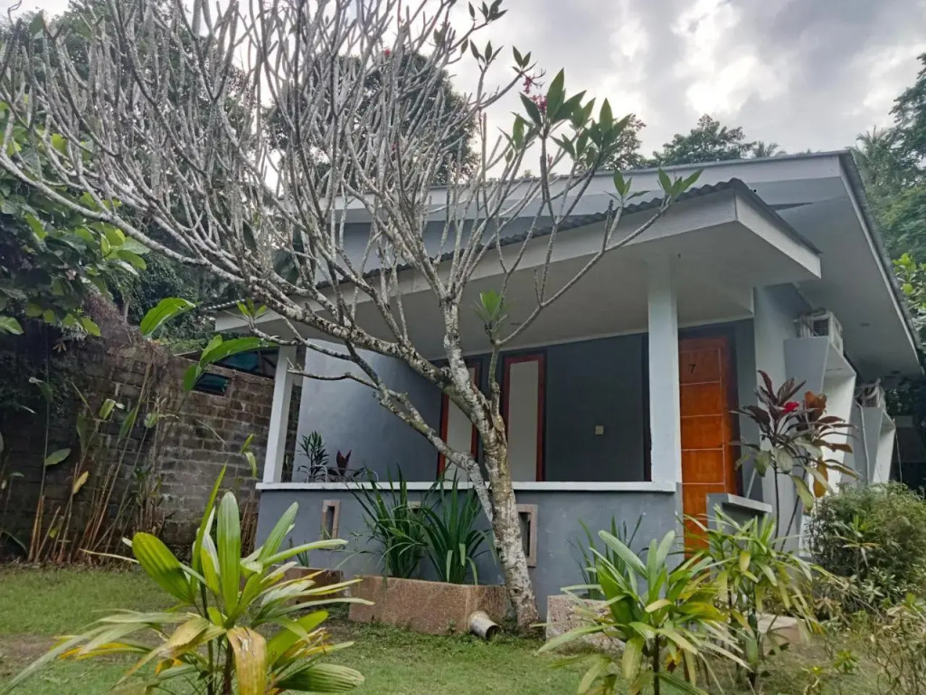 Tangkoko Jungle Homestay