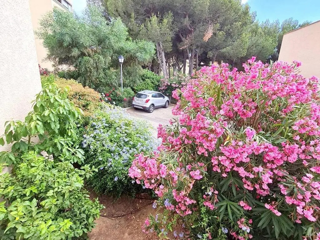 Appartement Six-Fours-les-Plages, 2 pièces, 3 personnes - FR-1-316-300