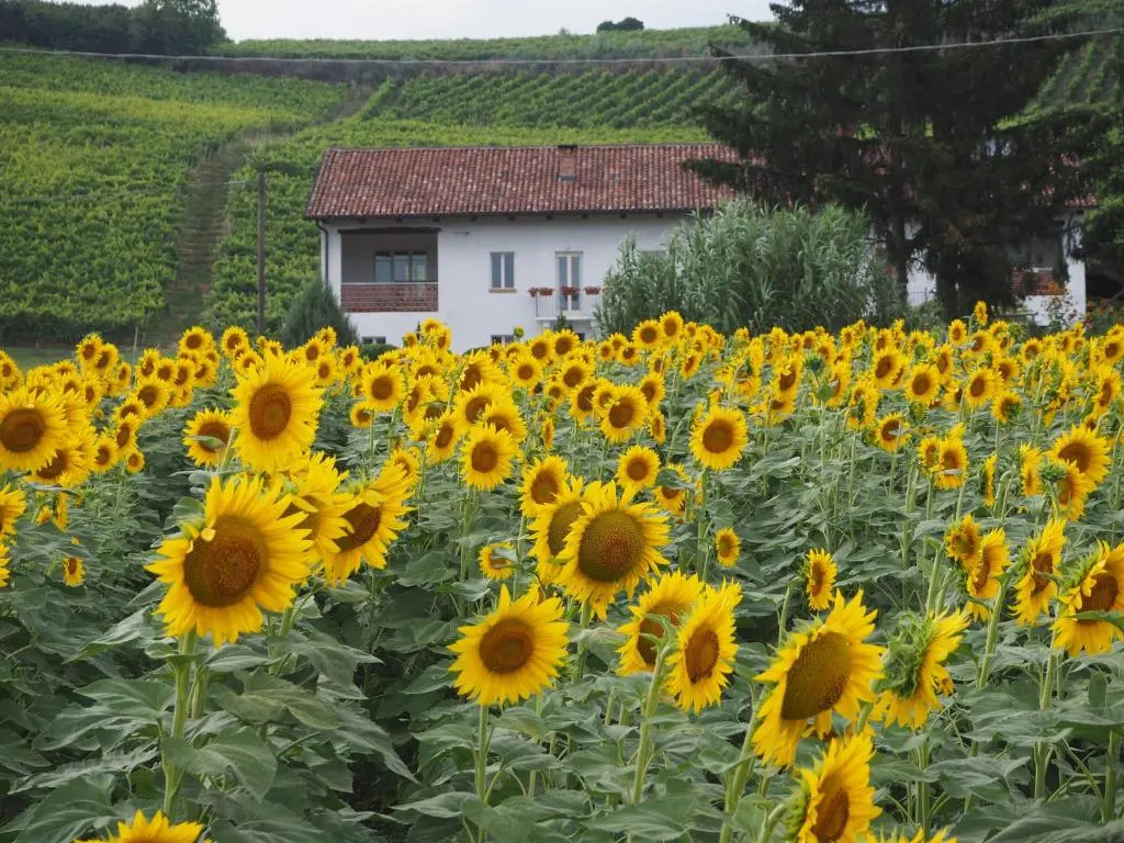 Casa del Roseto