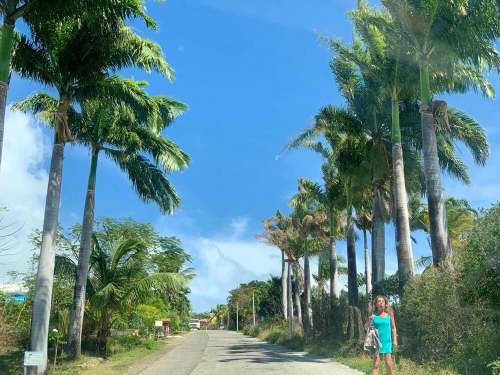 House with 2 Bedrooms in Deshaies, with Wonderful Sea View, Furnished Garden And Wifi - 200 M From the Beach