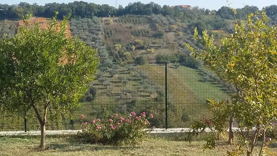 La Casa Di Stefania