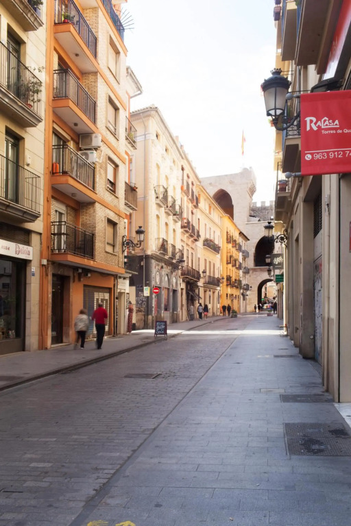 Apartment Torres de Quart II