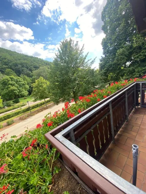 Apartment am Park