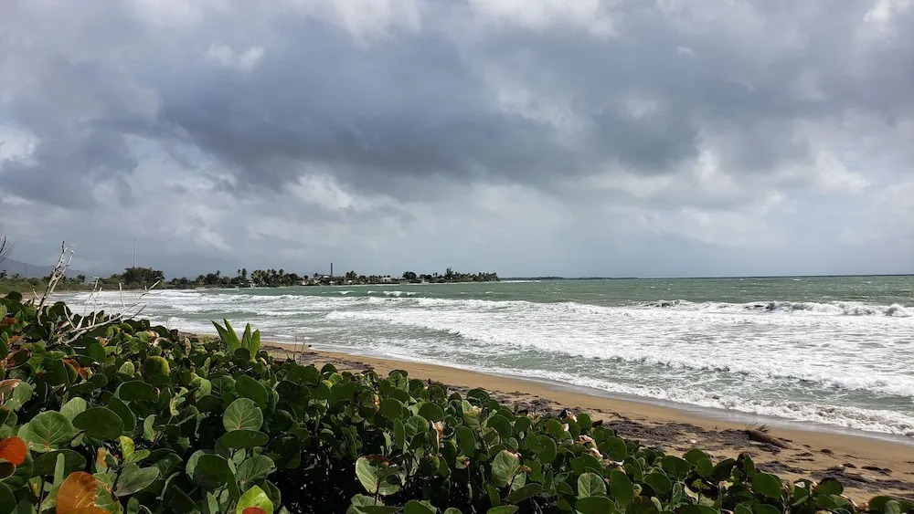 Caribbean 181