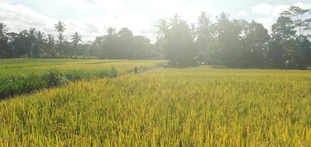 Amara Giri 1