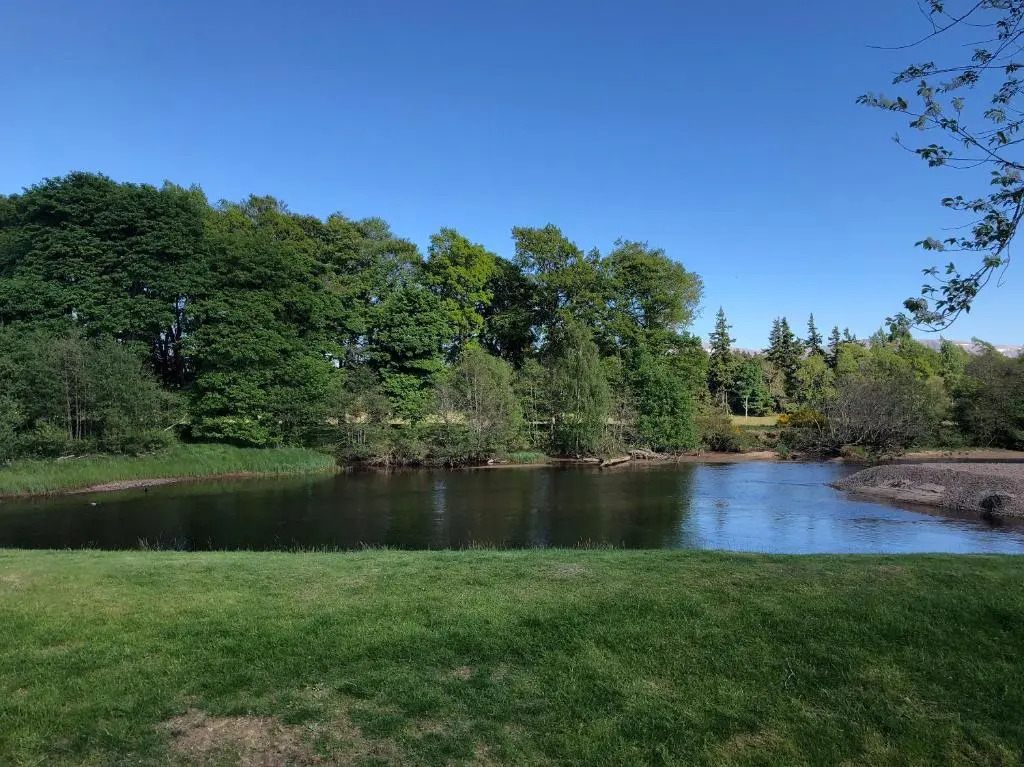 81 The Heathers, Aviemore Holiday Park , Dalfaber rd Aviemore PH22 1PX