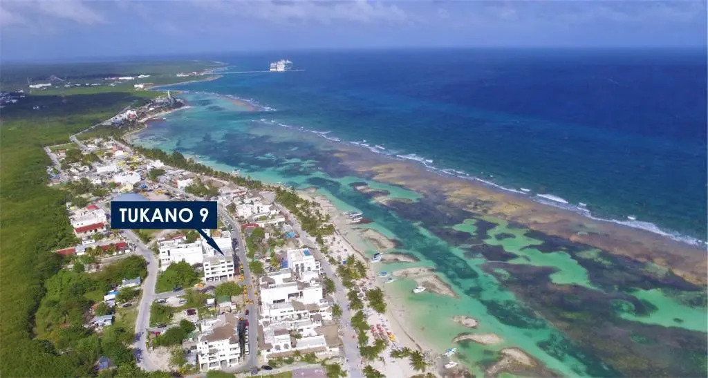 TUKANO 9 | In the heart of Mahahual