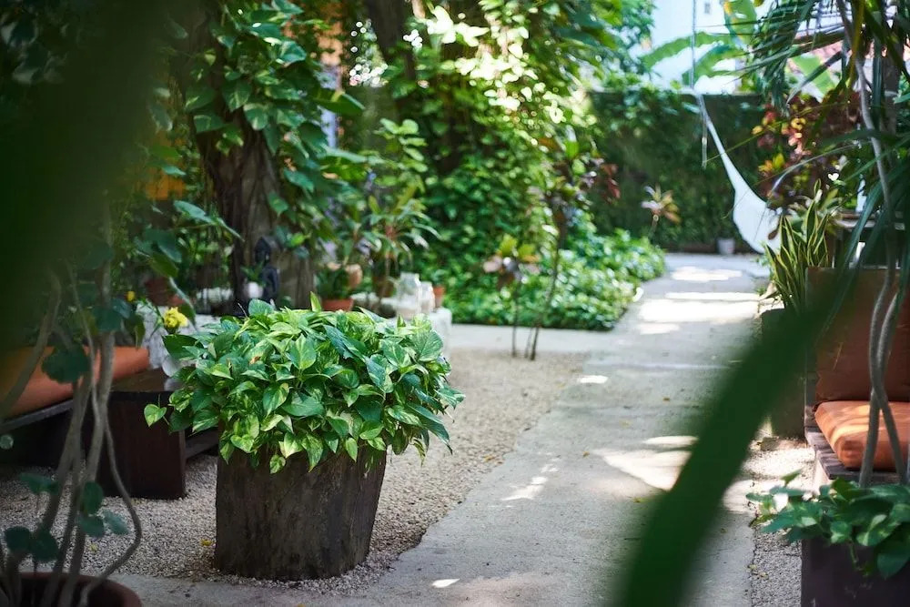 Secret Garden Tulum