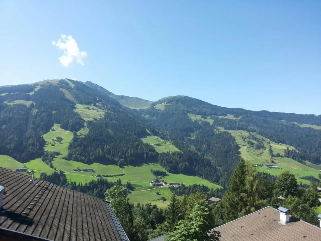 Alpbach 646