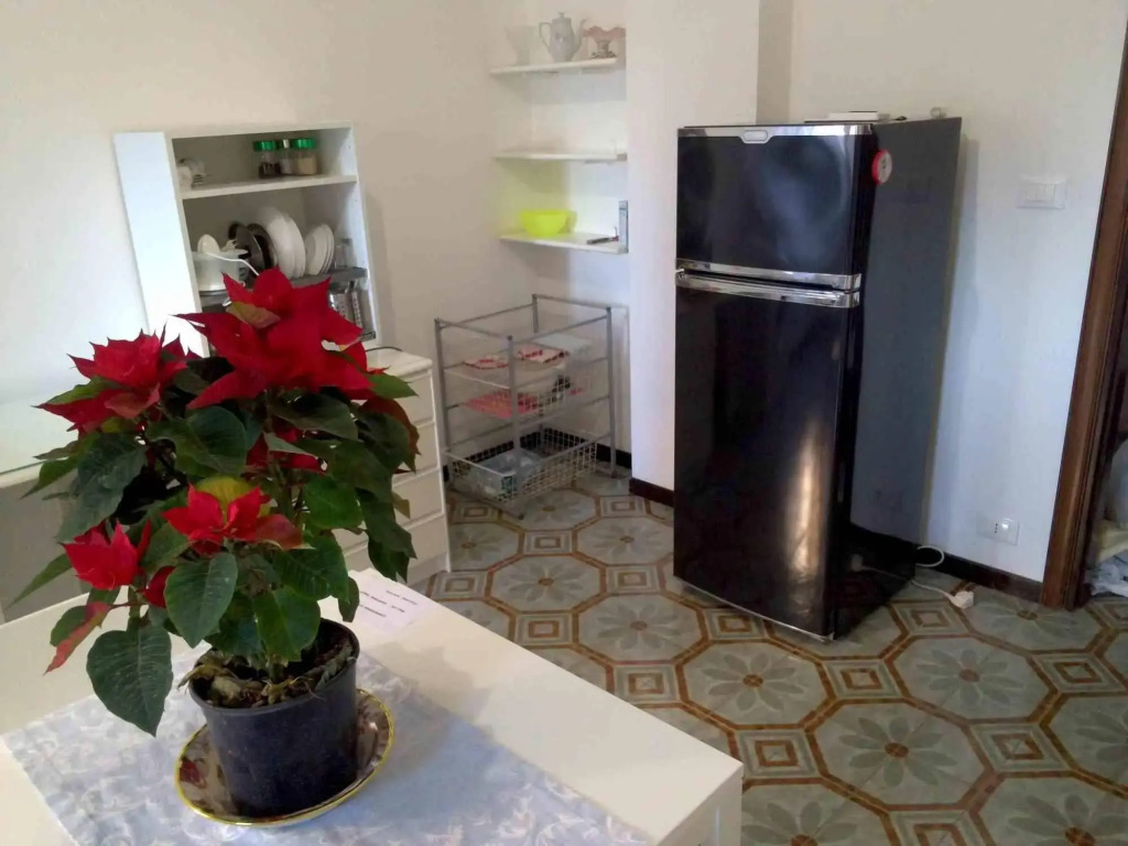 University B&B