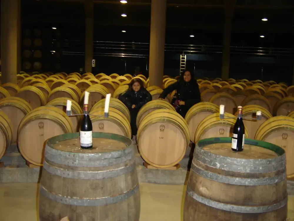 Agroturismo "La Bardena Blanca II"