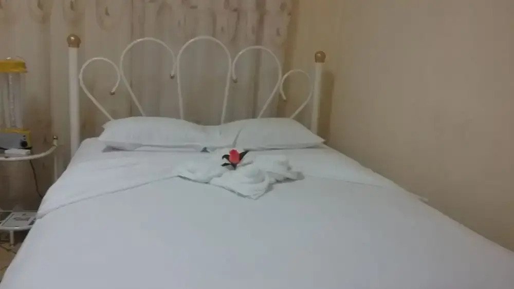 Hostal Colon 271