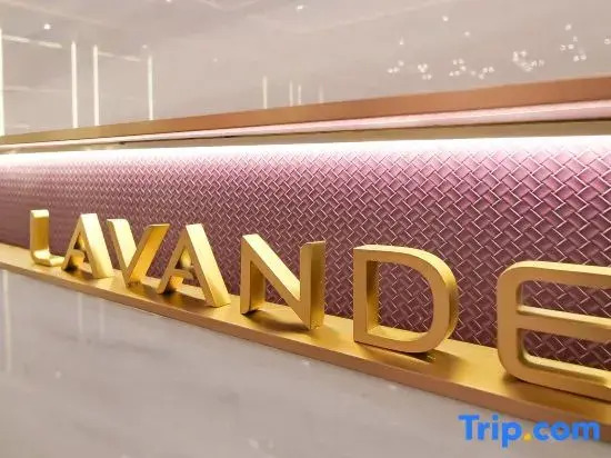 LAVANDE HOTELS(Daqing East Railway  Station And Passenger Terminal Branch)