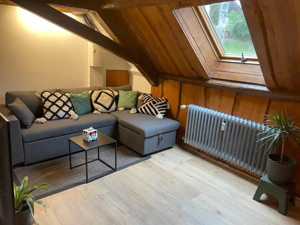 Appartement 3 pieces centre du Hohwald # 201