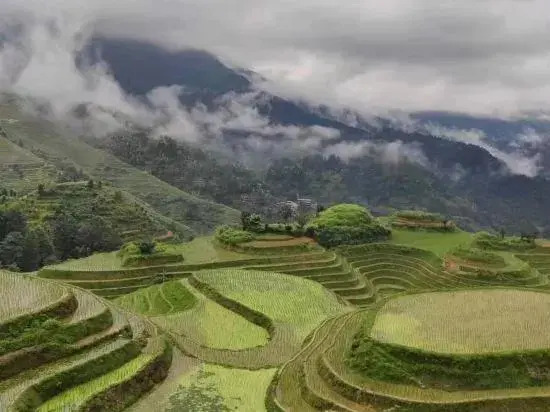 Longji Rice Terraces Jiamei Pavilion
