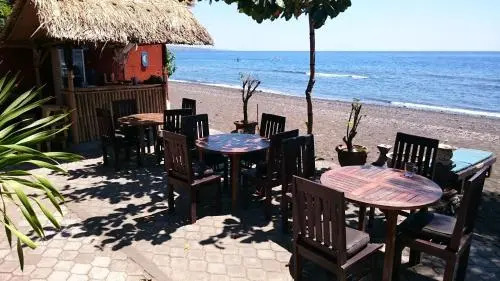 Barracuda Beach Hostel