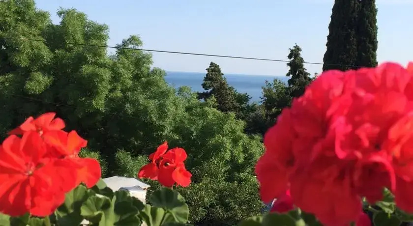 Галина