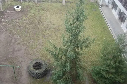 Apartman Csaba