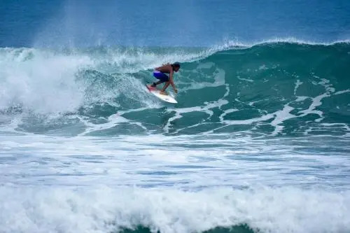 Wild Waves Surf-House