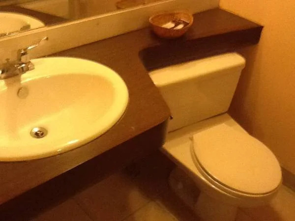 Regency Inn and Suites