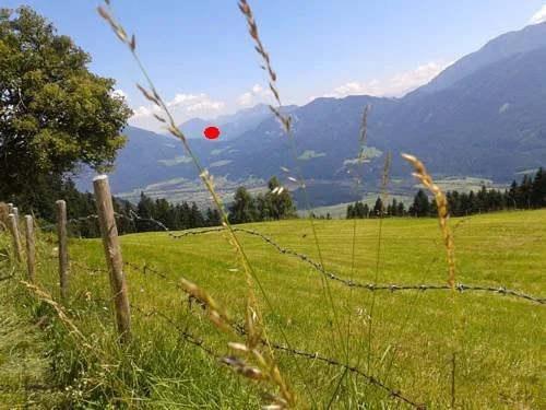 Schadnbauer