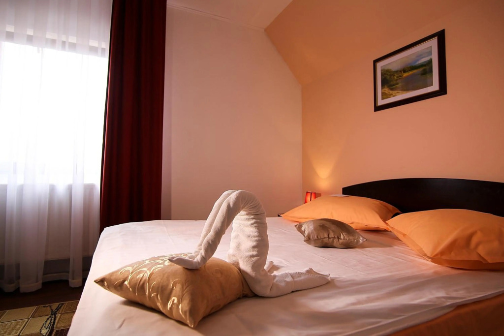 Hotel Ciric