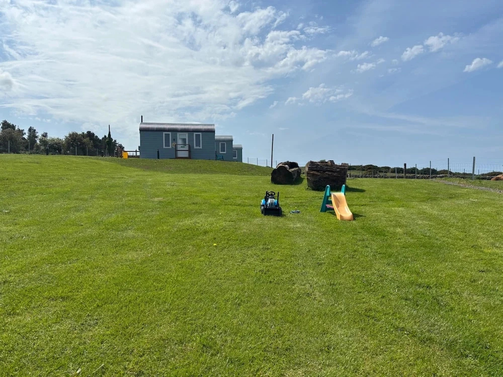 The Dozy Donkey Shepherd Hut & Sauna Farm Stay