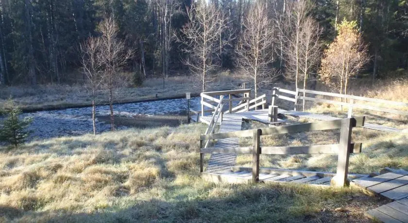 Pyhän Asteli Log Cottages