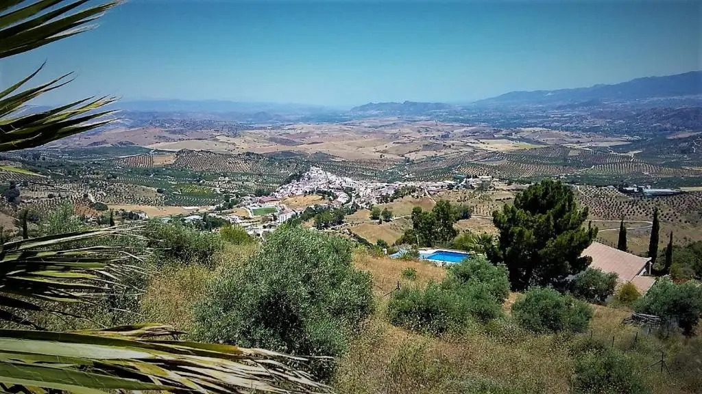 Casa Liebre