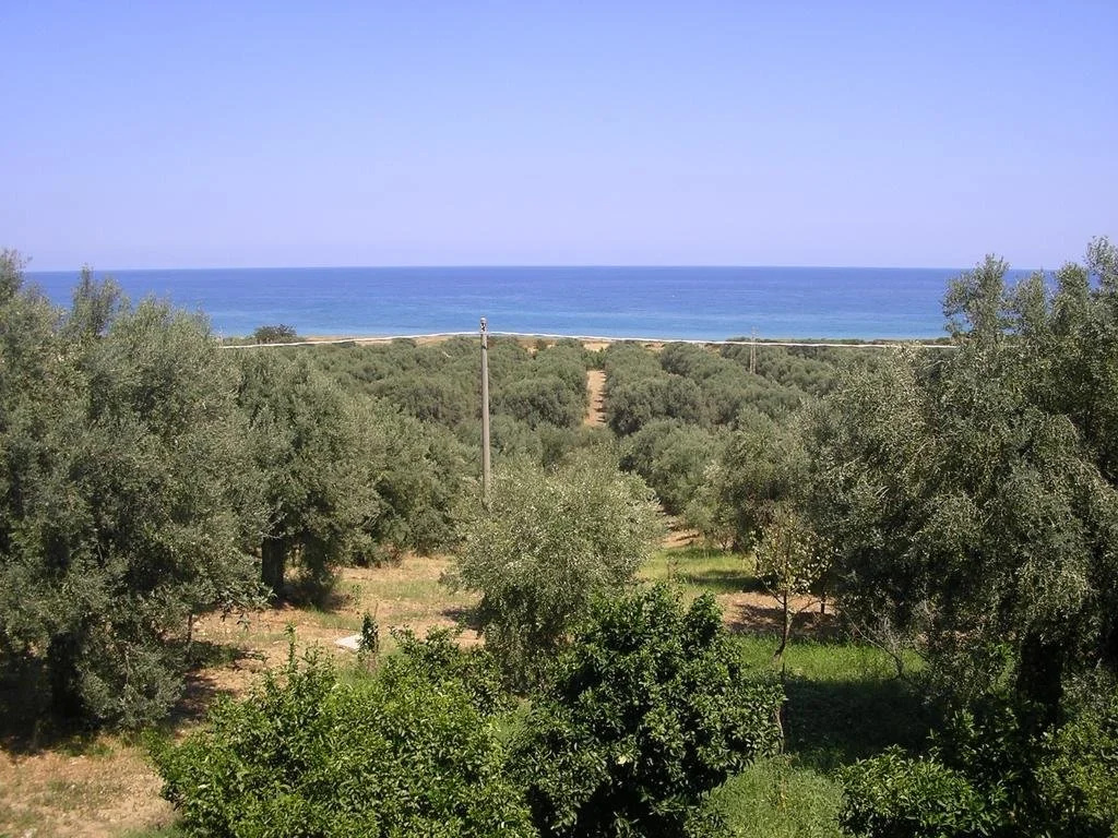 Agriturismo Torre Rinusa