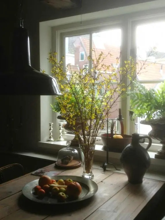 Blauwe Hoorn