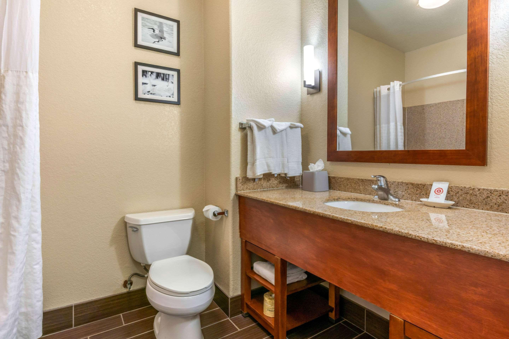 Comfort Inn & Suites Galt - Lodi North